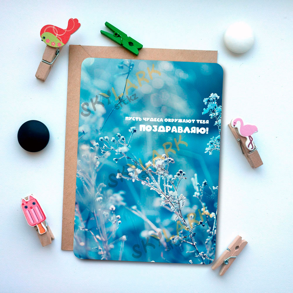 Зимние чудеса